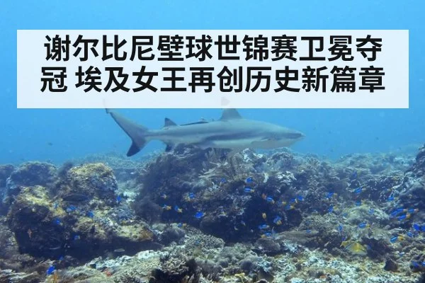 谢尔比尼壁球世锦赛卫冕夺冠 埃及女王再创历史新篇章